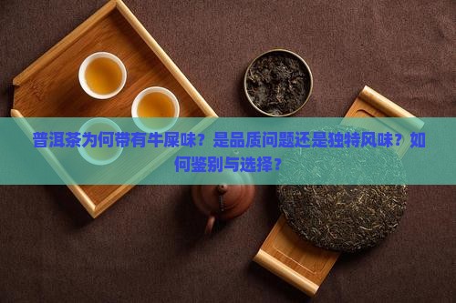 普洱茶为何带有牛屎味？是品质问题还是独特风味？如何鉴别与选择？