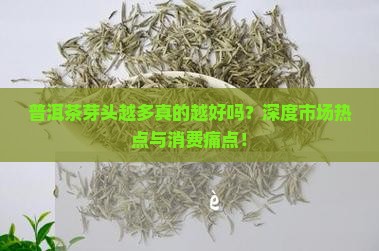 普洱茶芽头越多真的越好吗？深度市场热点与消费痛点！