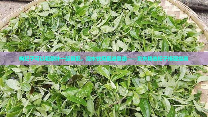 枸杞子可以和茶叶一起搭配，泡水饮用促进健康——京东精选杞子搭配指南