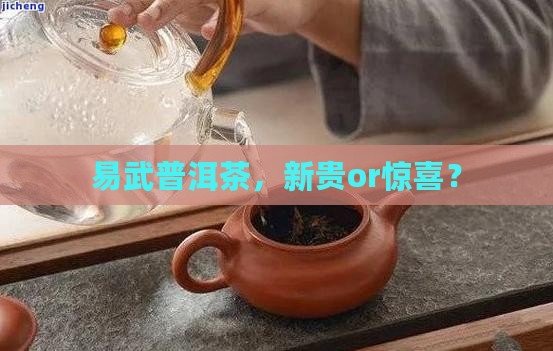 易武普洱茶，新贵or惊喜？
