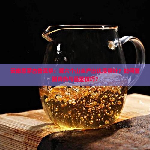 云南思茅古普洱茶：哪六个山头产出优质茶叶？如何鉴别真伪与品鉴技巧？