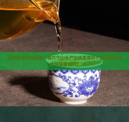 云南思茅古普洱茶：哪六个山头产出优质茶叶？如何鉴别真伪与品鉴技巧？