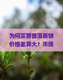 为何苁蓉普洱茶饼价格差异大？市场热点与消费者痛点！