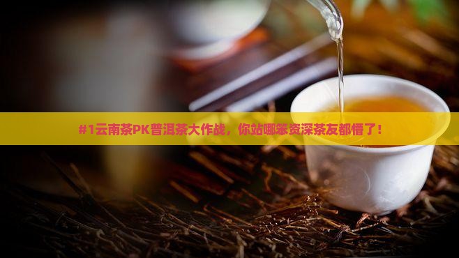 #1云南茶PK普洱茶大作战，你站哪笨资深茶友都懵了！