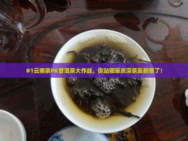 #1云南茶PK普洱茶大作战，你站哪笨资深茶友都懵了！