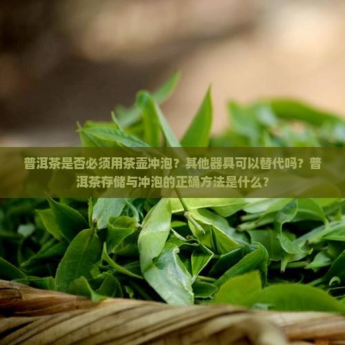 普洱茶是否必须用茶壶冲泡？其他器具可以替代吗？普洱茶存储与冲泡的正确方法是什么？