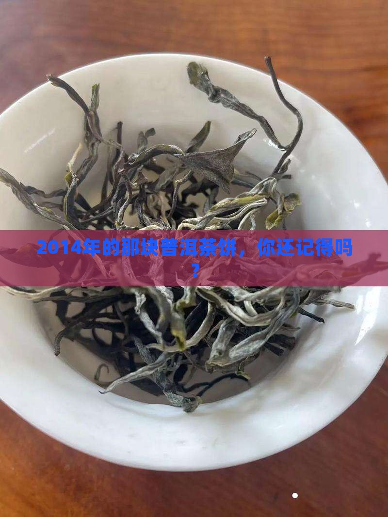 2014年的那块普洱茶饼，你还记得吗？