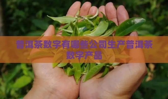 普洱茶数字有哪些公司生产普洱茶数字产品