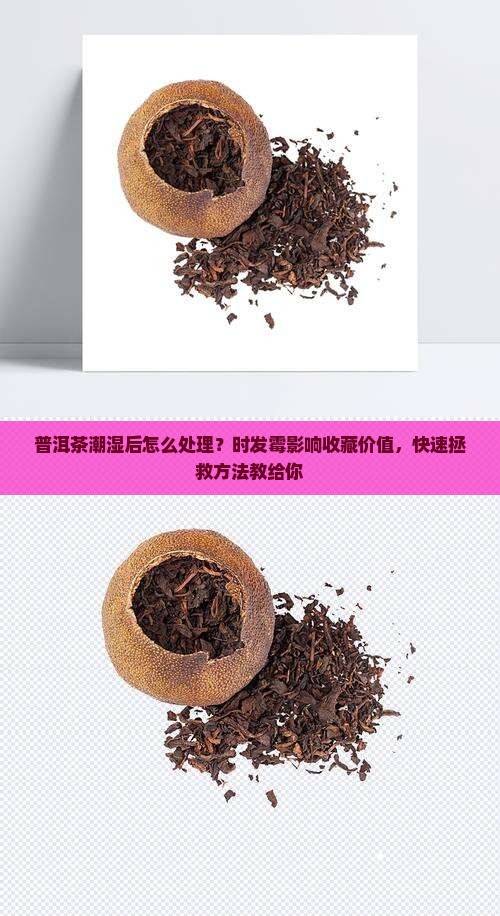 普洱茶潮湿后怎么处理？时发霉影响收藏价值，快速拯救方法教给你