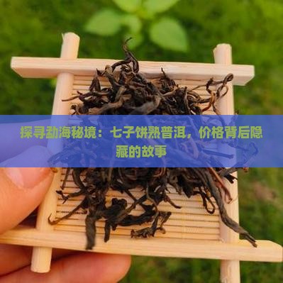 探寻勐海秘境：七子饼熟普洱，价格背后隐藏的故事
