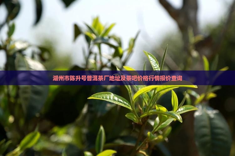 湖州市陈升号普洱茶厂地址及茶吧价格行情报价查询
