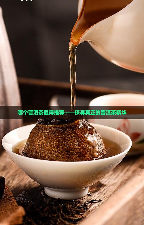 哪个普洱茶值得推荐——探寻真正的普洱茶精华