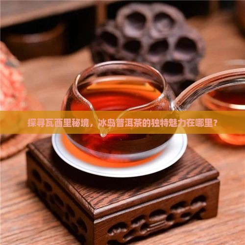 探寻瓦西里秘境，冰岛普洱茶的独特魅力在哪里？