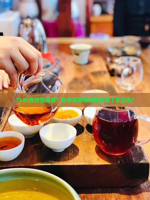7542青饼普洱茶？新手买茶被价格吓到了怎么办？