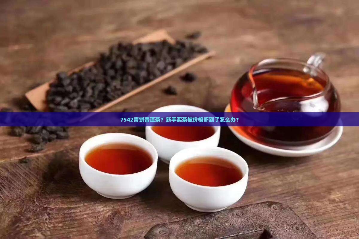 7542青饼普洱茶？新手买茶被价格吓到了怎么办？