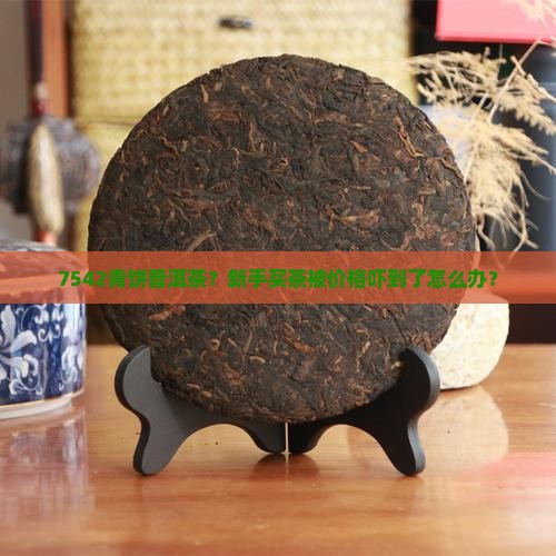 7542青饼普洱茶？新手买茶被价格吓到了怎么办？