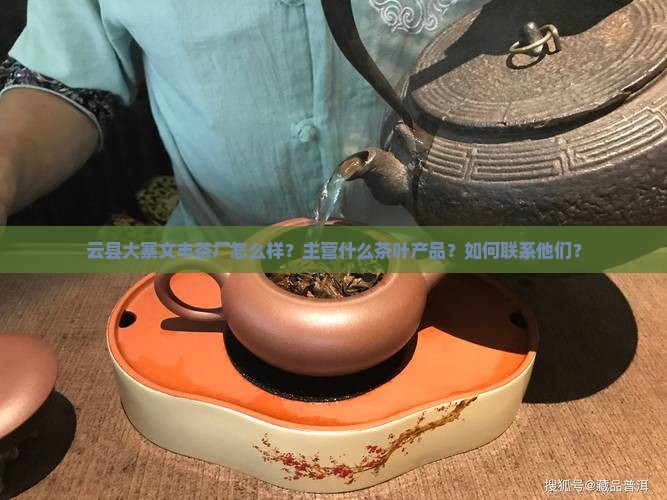云县大寨文丰茶厂怎么样？主营什么茶叶产品？如何联系他们？