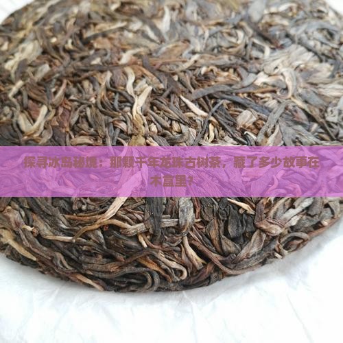 探寻冰岛秘境：那颗千年龙珠古树茶，藏了多少故事在木盒里？