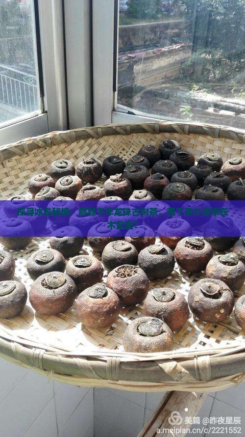 探寻冰岛秘境：那颗千年龙珠古树茶，藏了多少故事在木盒里？