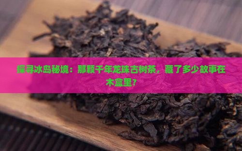 探寻冰岛秘境：那颗千年龙珠古树茶，藏了多少故事在木盒里？