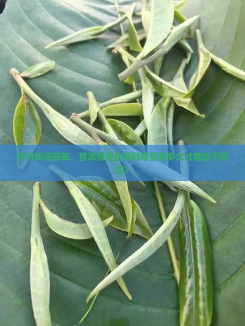 作为资深茶友，普洱茶整合期到底需要多久才能趋于稳定？