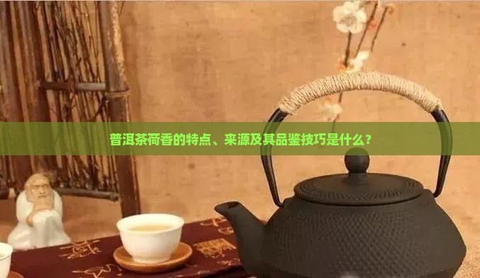 普洱茶荷香的特点、来源及其品鉴技巧是什么？