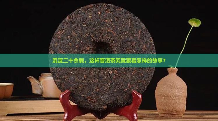 沉淀二十余载，这杯普洱茶究竟藏着怎样的故事？