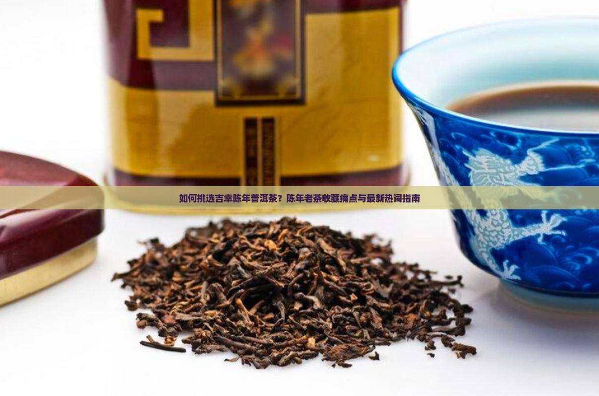 如何挑选吉幸陈年普洱茶？陈年老茶收藏痛点与最新热词指南