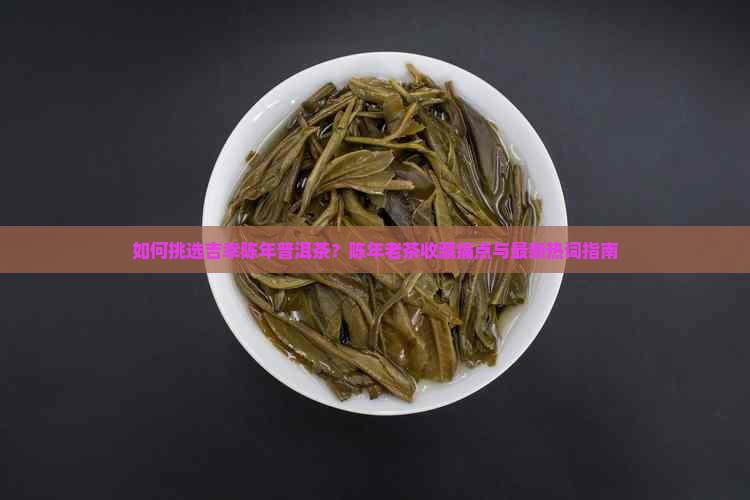 如何挑选吉幸陈年普洱茶？陈年老茶收藏痛点与最新热词指南