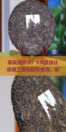茶友圈热议：5大理由让你爱上曼松松针普洱，家里常备吗？