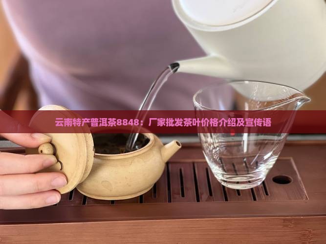 云南特产普洱茶8848：厂家批发茶叶价格介绍及宣传语