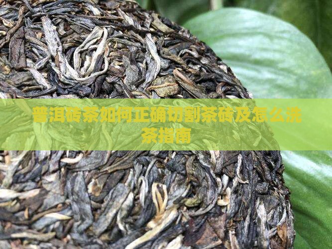 普洱砖茶如何正确切割茶砖及怎么洗茶指南