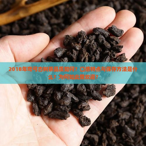 2018年弯弓古树茶品质如何？口感特点与保存方法是什么？为何如此受欢迎？