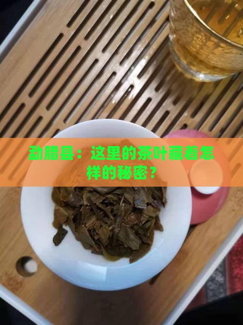 勐腊县：这里的茶叶藏着怎样的秘密？