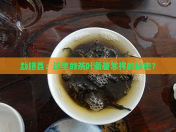 勐腊县：这里的茶叶藏着怎样的秘密？