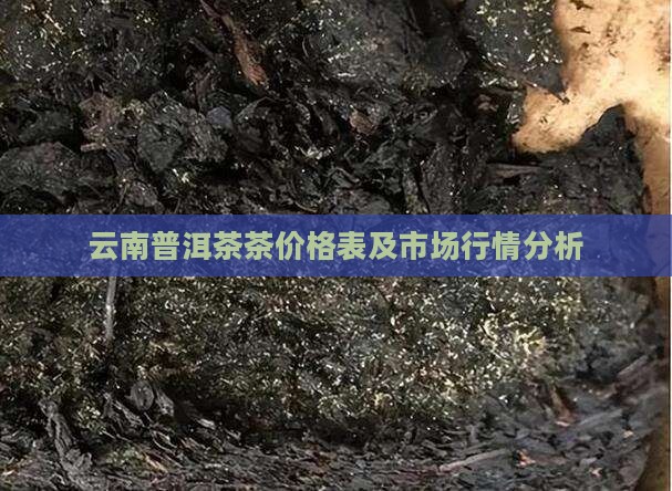 云南普洱茶茶价格表及市场行情分析