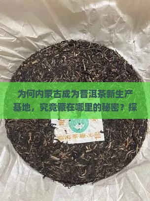 为何内蒙古成为普洱茶新生产基地，究竟藏在哪里的秘密？探索内蒙普洱茶产业痛点与行业热词解读。