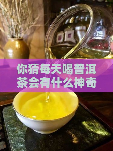 你猜每天喝普洱茶会有什么神奇变化？