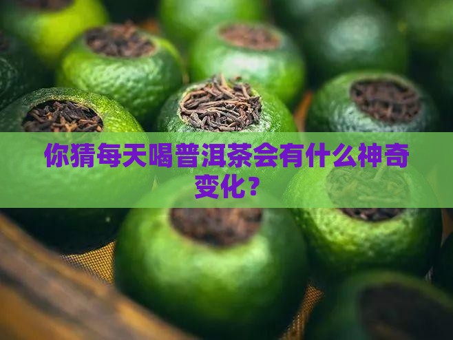 你猜每天喝普洱茶会有什么神奇变化？