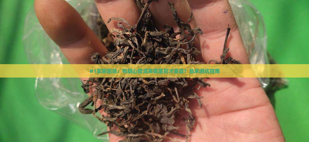 #1买家困惑：布朗山普洱茶哪里买才靠谱？急求避坑指南