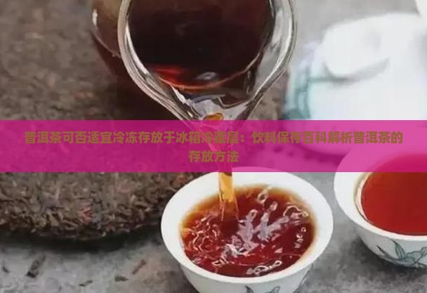 普洱茶可否适宜冷冻存放于冰箱冷藏层：饮料保存百科解析普洱茶的存放方法