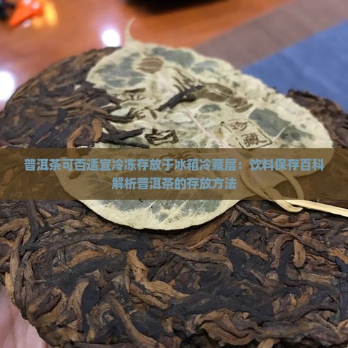 普洱茶可否适宜冷冻存放于冰箱冷藏层：饮料保存百科解析普洱茶的存放方法
