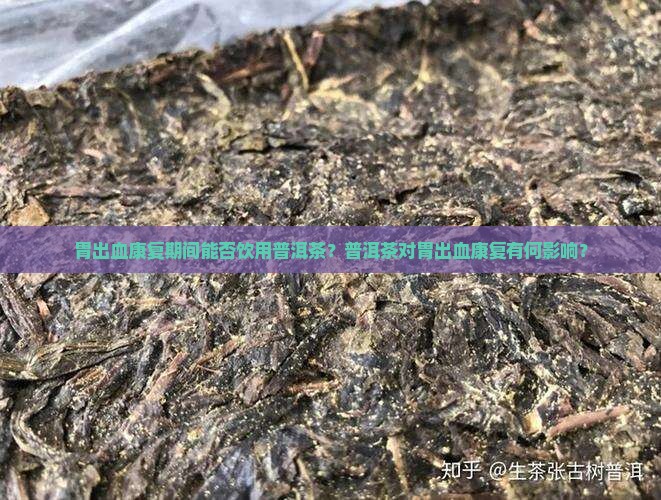 胃出血康复期间能否饮用普洱茶？普洱茶对胃出血康复有何影响？