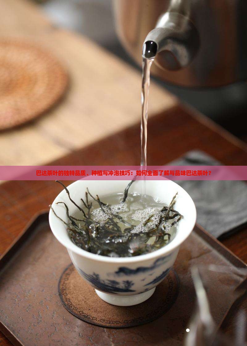 巴达茶叶的独特品质、种植与冲泡技巧：如何全面了解与品味巴达茶叶？