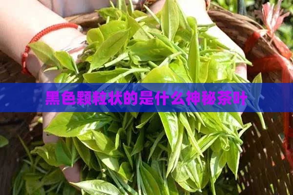 黑色颗粒状的是什么神秘茶叶