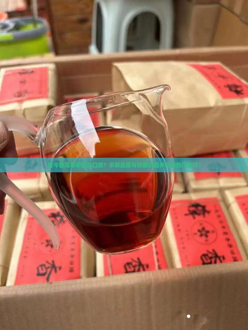 福今普洱茶哪些款口感?求解品质与收藏价值并存的热门选择! 福今普洱茶哪些款口感?求解品质与收藏价值并存的热门选择!