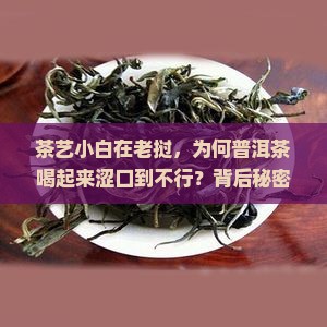 茶艺小白在老挝,为何普洱茶喝起来涩口到不行?背后秘密! 茶艺小白在老挝,为何普洱茶喝起来涩口到不行?背后秘密!
