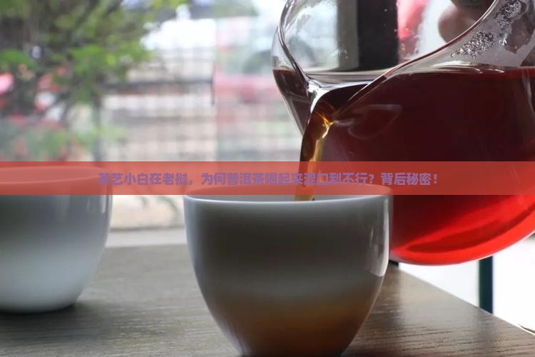 茶艺小白在老挝,为何普洱茶喝起来涩口到不行?背后秘密! 茶艺小白在老挝,为何普洱茶喝起来涩口到不行?背后秘密!