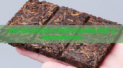 云南古树普洱茶信息京东阿里同步推出特级熟普洱茶 山茶植物熟茶价格优惠 云南古树普洱茶信息京东阿里同步推出特级熟普洱茶 山茶植物熟茶价格优惠