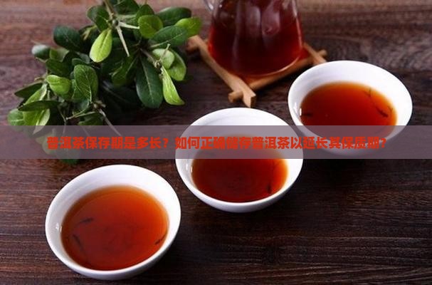普洱茶保存期是多长?如何正确储存普洱茶以延长其保质期? 普洱茶保存期是多长?如何正确储存普洱茶以延长其保质期?